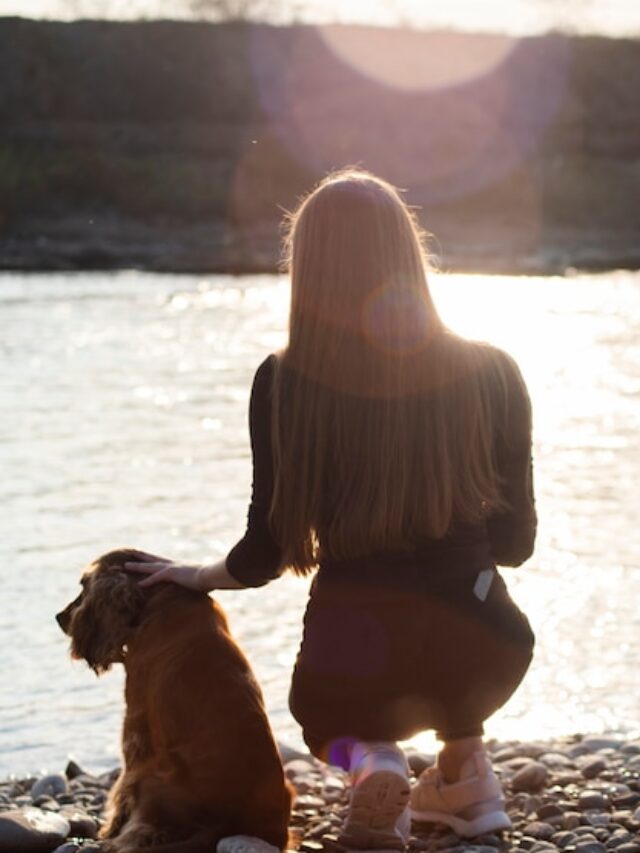 back-view-young-woman-with-her-dog_23-2148351209