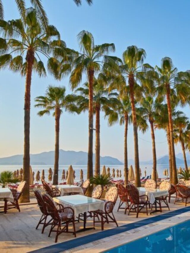 beautiful-promenade-with-palm-trees-marmaris_661209-413