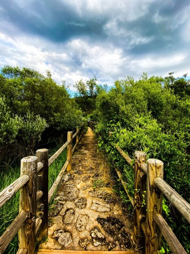 beautiful-vertical-view-narrow-path-with-wooden-railing-triglav-national-park-slovenia_181624-31583