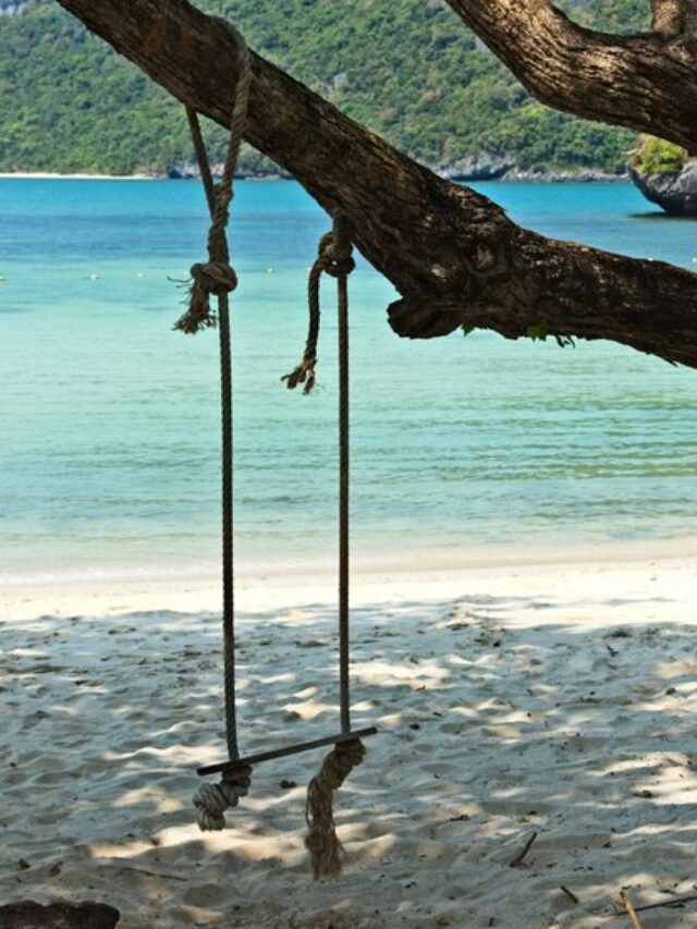 swing-hanging-from-tree-beach-island-during-daytime_181624-11837