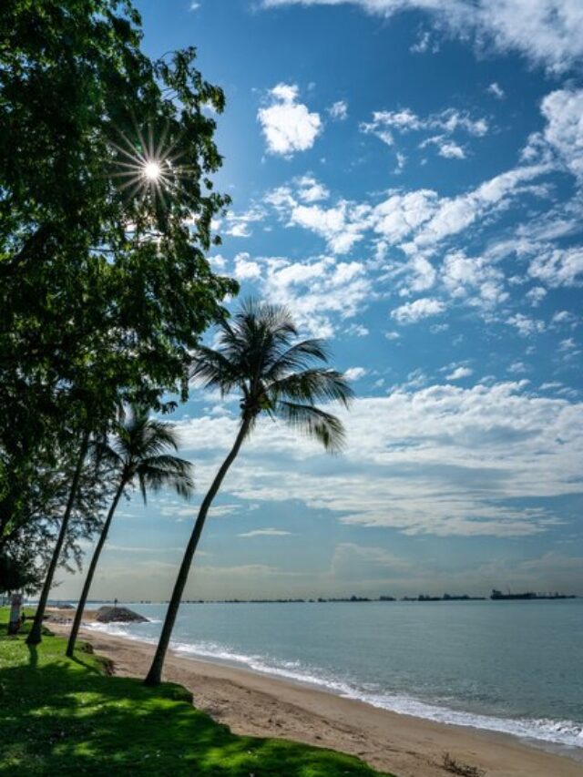 tropical-beach-sunny-day-east-coast-park-singapore_181624-50975